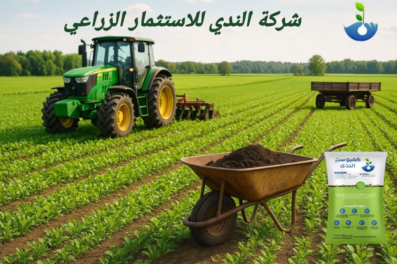 بانر عرضي 2