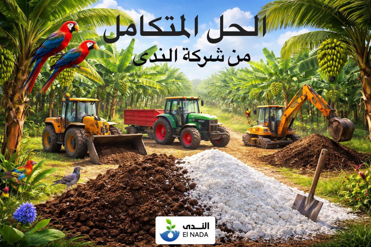 بانر عرضي 4