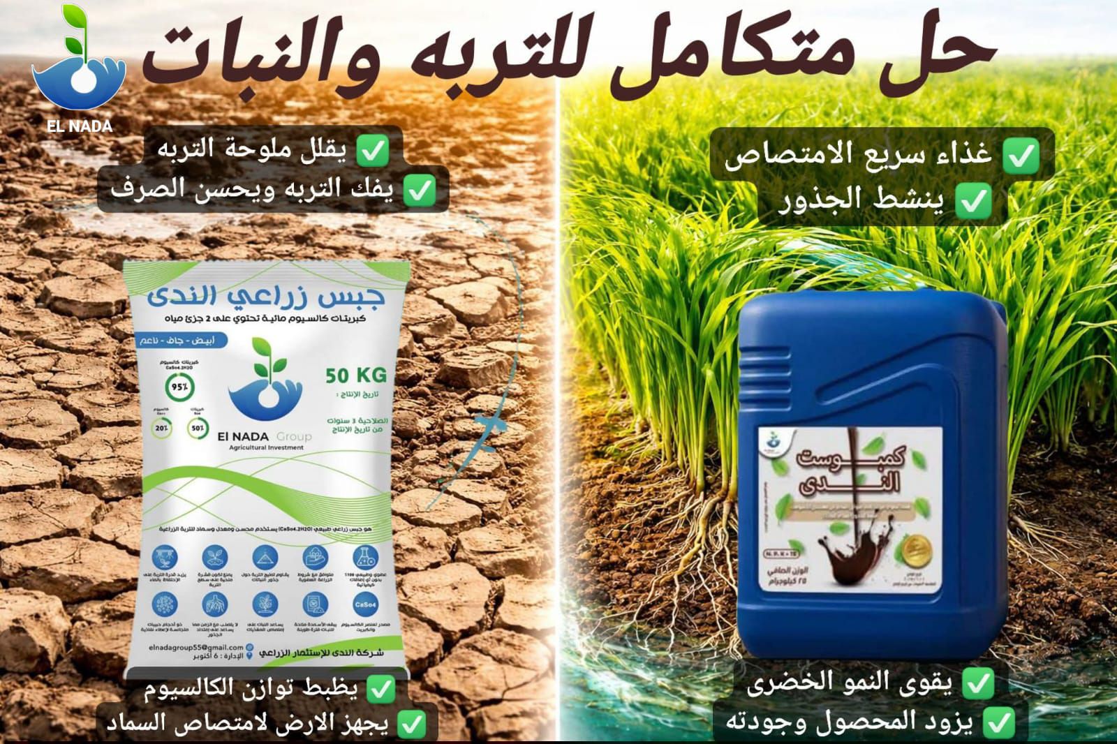 بانر عرضي 5