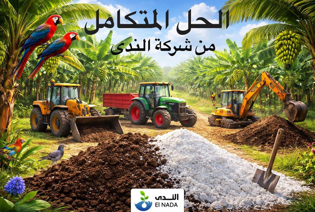 بانر عرضي 6