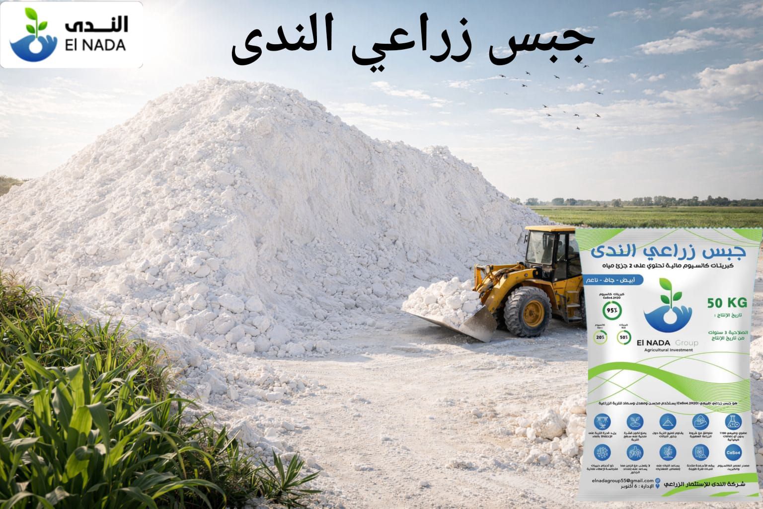 بانر عرضي 7
