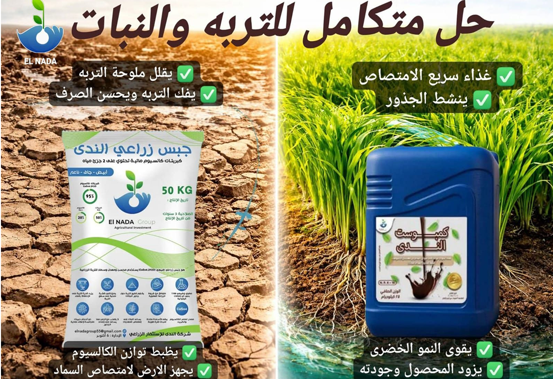 بانر عرضي 8